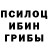 Галлюциногенные грибы Magic Shrooms Viktoriya Jenkins