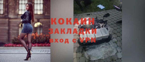 ешки Алексин