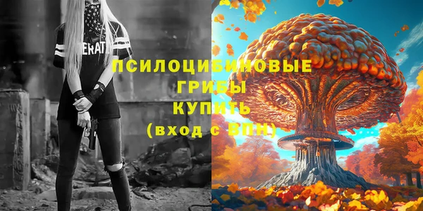 шишки Абдулино